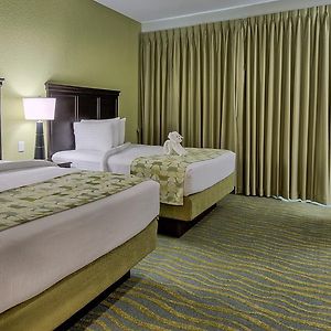 Chambre Lit Queen-Size